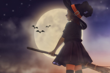 Similar image 11862929