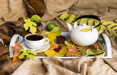 Similar image 11867363