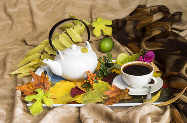 Similar image 11871066