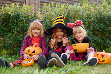 Similar image 11864834