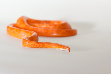 Similar image 11864969