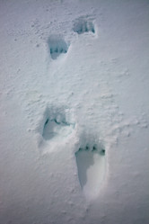 Similar image 11865253