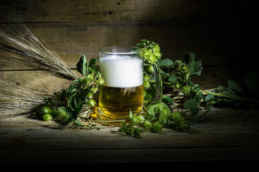 Similar image 11865996