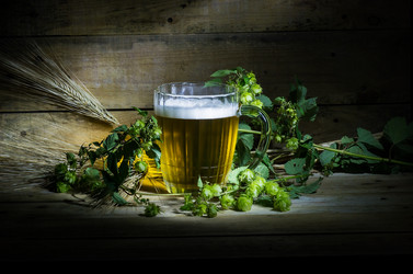 Similar image 11865997