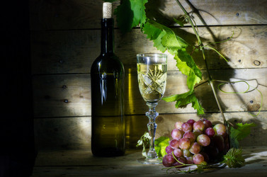 Similar image 11865999