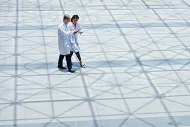 Similar image 11865748