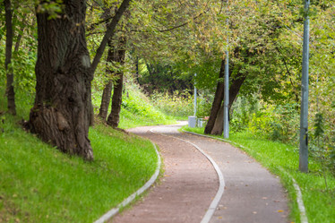 Similar image 11876826