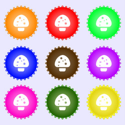 Similar image 11878443