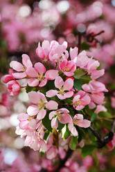 Similar image 11868835