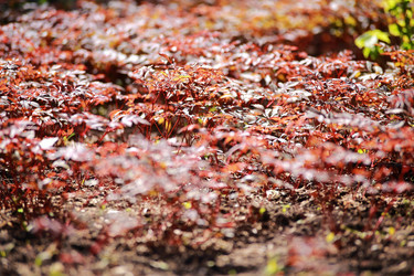 Similar image 11868837