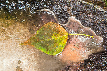 Similar image 11868838