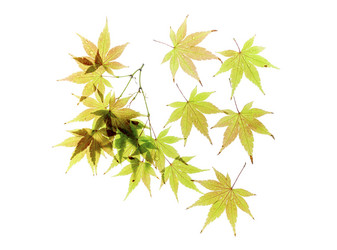 Similar image 11871077