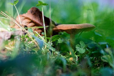 Similar image 11871030