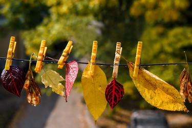 Similar image 11871031