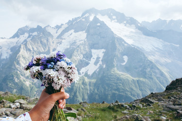 Similar image 11870861