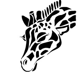 Similar image 11873882