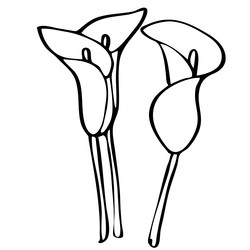 Similar image 11873886