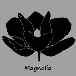 Similar image 11873941