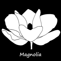 Similar image 11873965