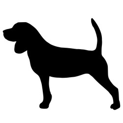 Similar image 11873652