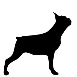 Similar image 11873937