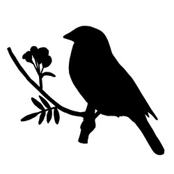 Similar image 11873915