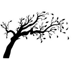 Similar image 11873582