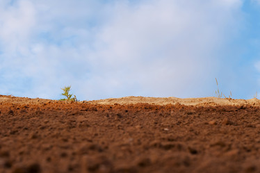 Similar image 11873641