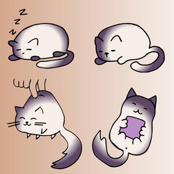 Similar image 11872482