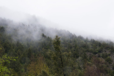 Similar image 11876830