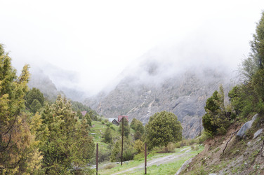 Similar image 11876831