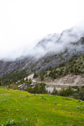 Similar image 11876833