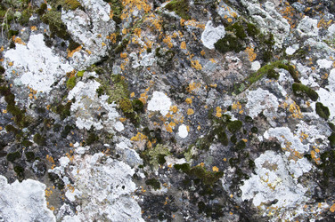 Similar image 11876835