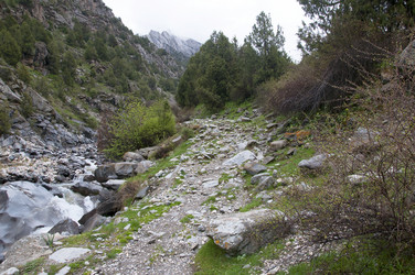 Similar image 11876838