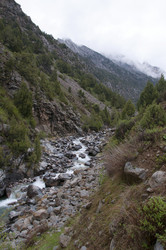 Similar image 11876840