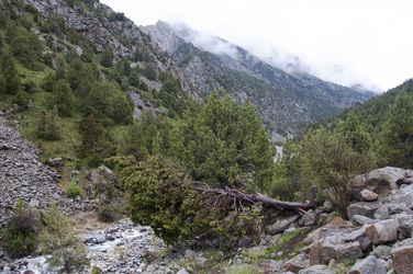 Similar image 11876841