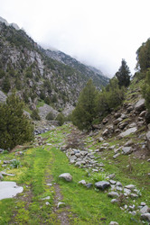 Similar image 11876859