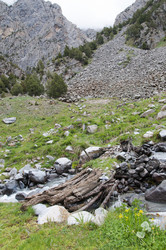 Similar image 11876860