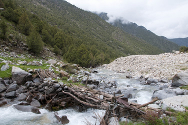 Similar image 11876861