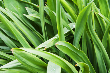 Similar image 11876864