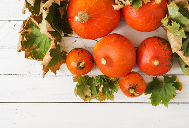 Similar image 11874056