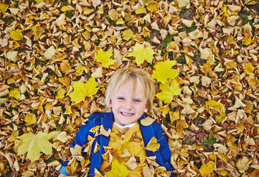 Similar image 11877710