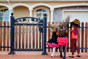 Similar image 11877537