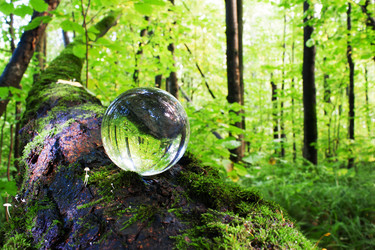 Similar image 11880227