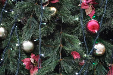 Similar image 11891323