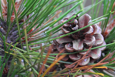 Similar image 11891385