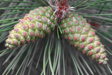 Similar image 11891386