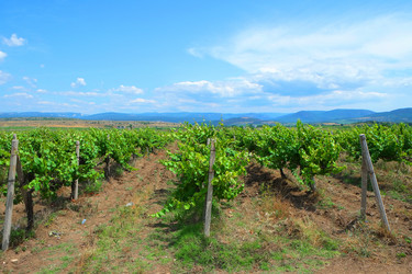 Similar image 11891296