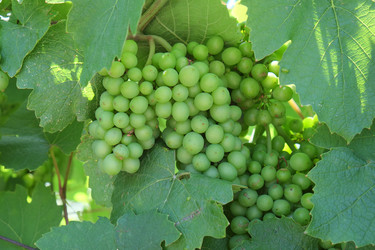 Similar image 11891357