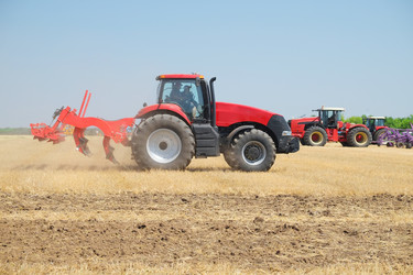 Similar image 11891239